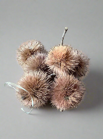 A bag of faux conkers with spiky casings.