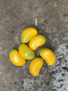 Faux Yellow Beans