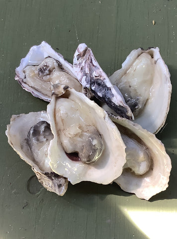 Faux Oysters