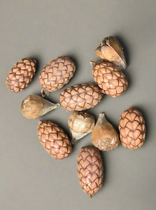 Bag of faux plastic pine cones, ideal for autumnal or Christmas dressing.