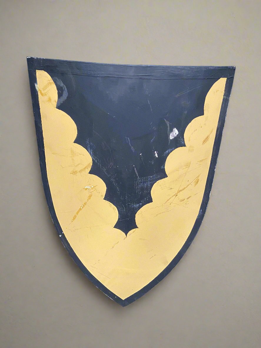 Yellow and Black Shield