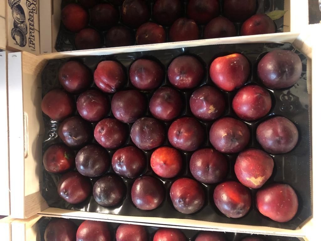 Box of Nectarines