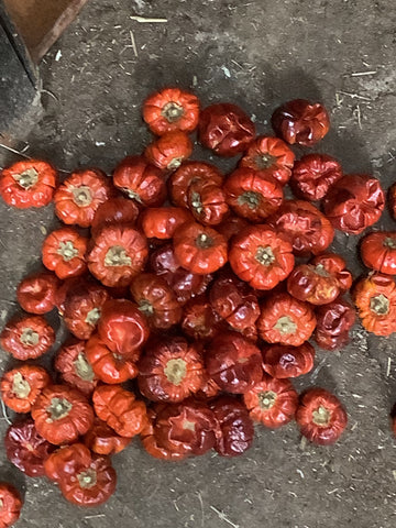 Faux Sundried Tomatoes