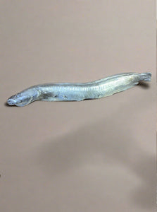 Faux plastic eel, great for market dressing.